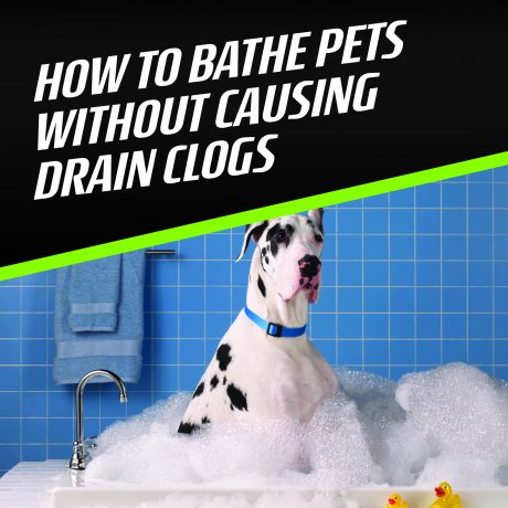 How to Bathe Pets Without Causing Drain Clogs