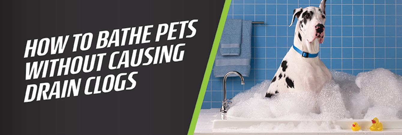 How to Bathe Pets Without Causing Drain Clogs