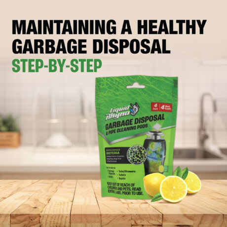 How-To Maintain A Healthy Garbage Disposal Step-by-Step Guide