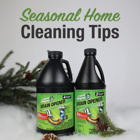 Seasonal Home Cleaning Tips