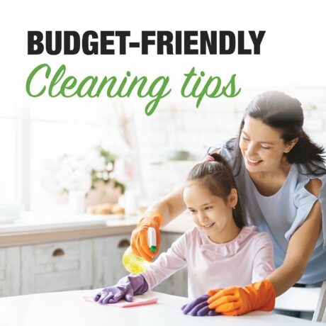 Budget-Friendly Cleaning Tips