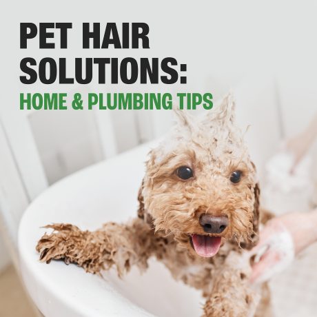 Pet Hair Solutions Plumbing and Maintenance Tips