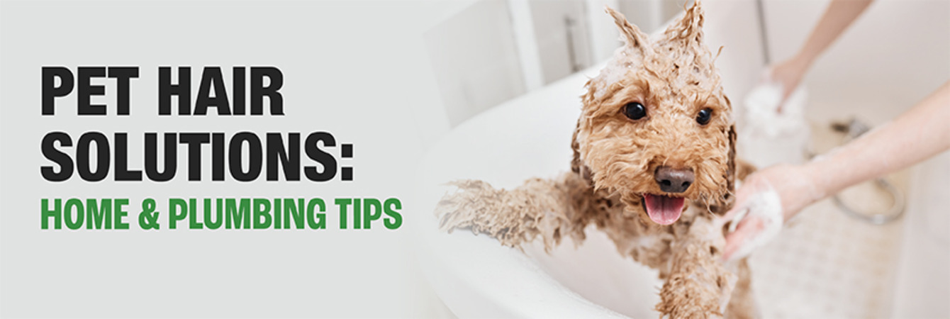 Pet Hair Solutions Plumbing and Maintenance Tips